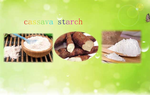 cassava starch