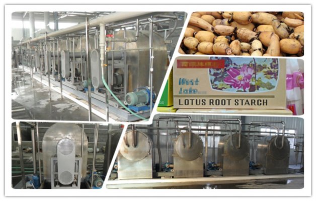 Commercial Lotus Root Starch Production Equipment Price